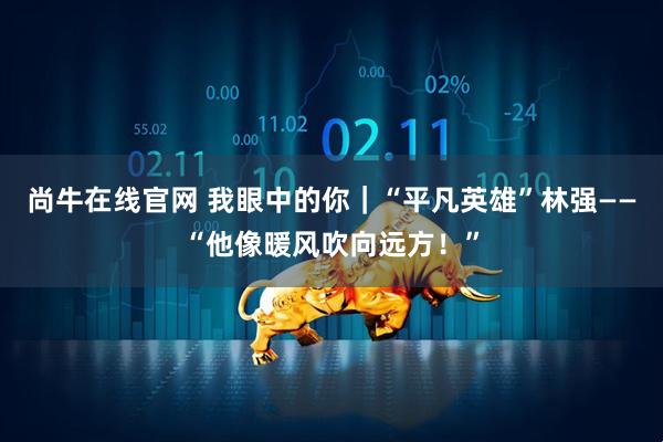 尚牛在线官网 我眼中的你｜“平凡英雄”林强——“他像暖风吹向远方！”